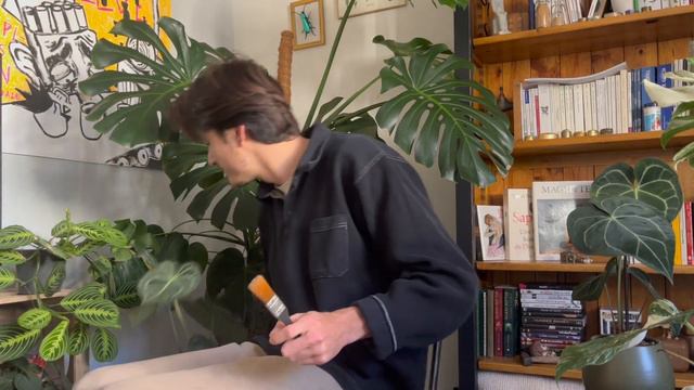 Je nettoie mes plantes + boutures Scandens Micans смотреть онлайн