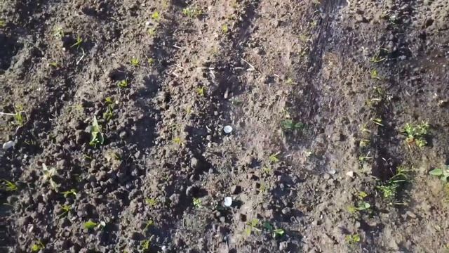 Сельская жизнь на даче. Поставили батут! смотреть онлайн