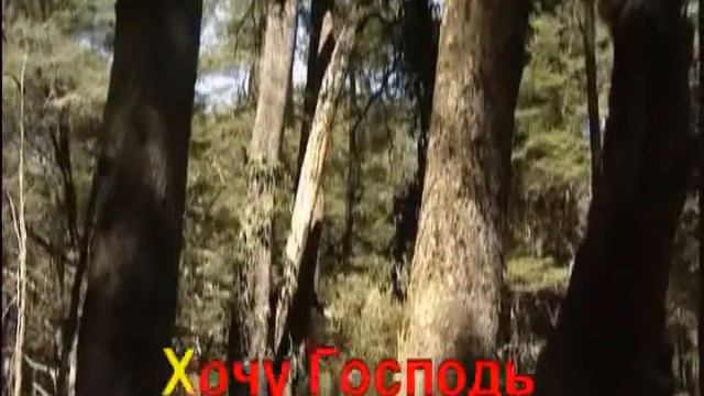 Прекрасный день пришел # фонограмма смотреть онлайн