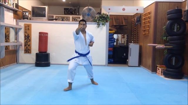 Kihon Shodan смотреть онлайн