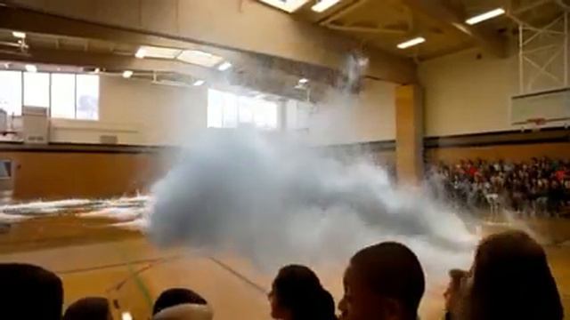 Виртуальный зоопарк. Virtual zoo смотреть онлайн