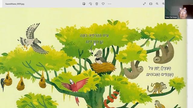 Читаем детские Энциклопедии ▶ Иврит смотреть онлайн