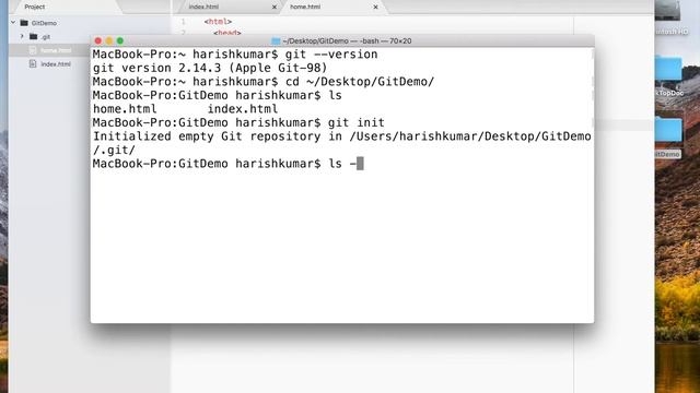 Chapter 1 : GIT / GITHUB - Initializing, Adding, Committing, Status смотреть онлайн