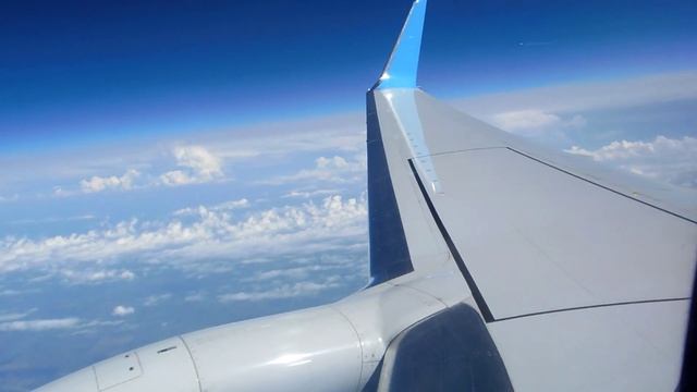 Boeing 737-800 Sochi - Moscow