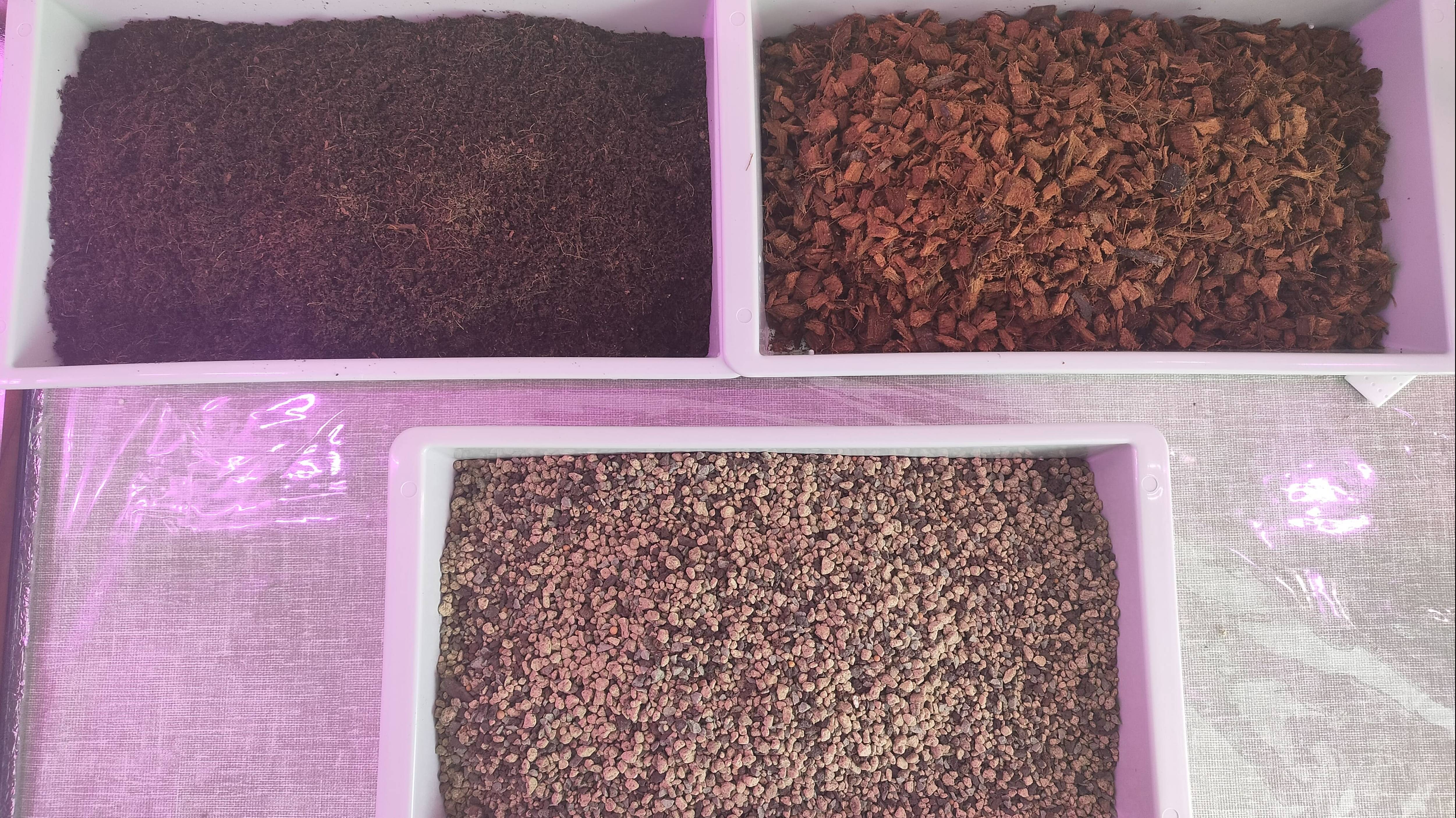 Составляю грунт "терра-пон" для оливы, фикуса и эвкалипта смотреть онлайн