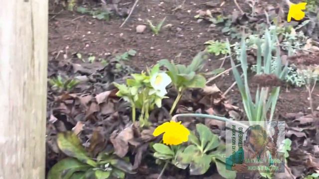 Внеочередной выпуск. Девчонки, с женским весенним днем нас!