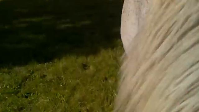 How to call Horses ...if you are lazy смотреть онлайн