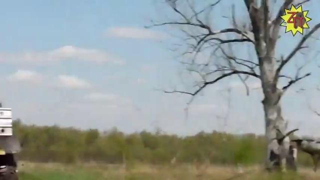 в гостях у клуба "Спорт-Круиз"\трофи-рейд ,первый этап-"На Берлин".Омск.май.2015год смотреть онлайн