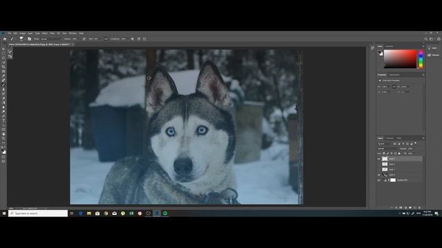 Tutorial | Sketch GIF Photoshop | MediaFilms смотреть онлайн