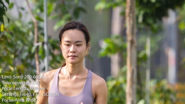 Testing The Sony 1.4x & 2x Teleconverter With Their Telephoto Lenses (70-200, 100-400, 200-600)