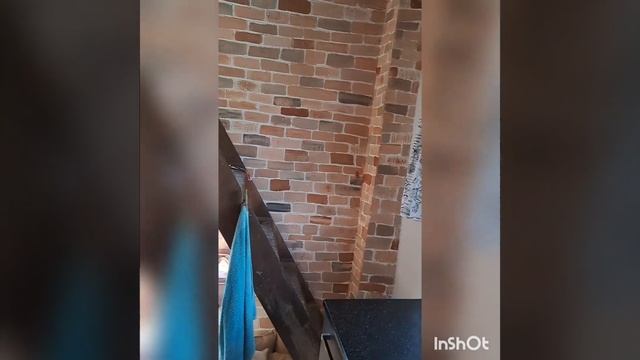 Продаётся дача в СНТ Строитель(Суворовское) Цена 3 000 000 руб!!! Херсонский сертификат смотреть онлайн