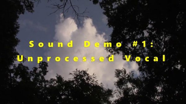 DigiTech MV-5 MIDI Vocalist Harmony Processor: Vocal Sound Demo