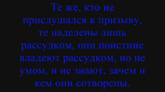 Чаша Грааля. Почему Бог одарил всех людей рассудком, но не умом? смотреть онлайн