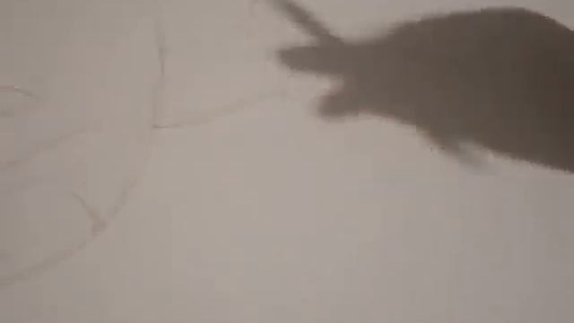 как нарисовать Мангл и Фокси ))))) смотреть онлайн