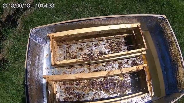 Пчеловодство. Простейшая солнечная воскотопка. смотреть онлайн