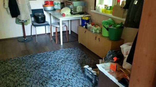 На даче и в городе. Где же нам лучше? Работы не заканчиваются... смотреть онлайн