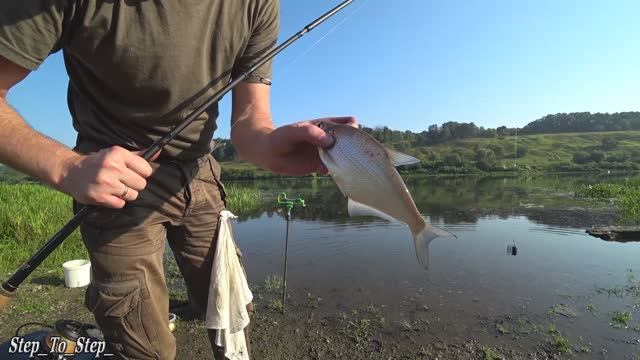 Давно не было ТАКОЙ рыбалки. С НОЧЕВКОЙ на реке. Рыбалка на фидер. смотреть онлайн