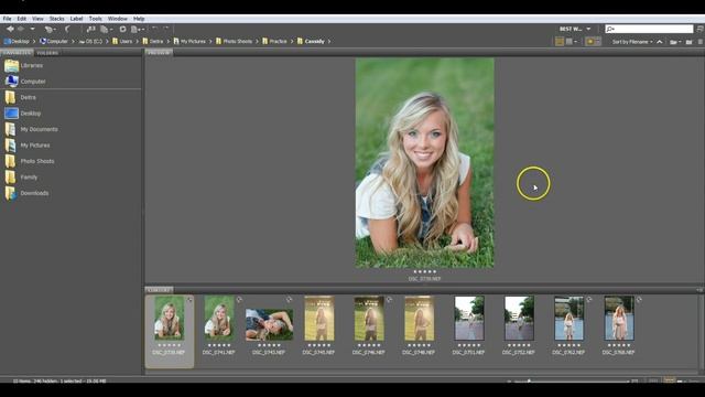 Setting Up Adobe Bridge DSP смотреть онлайн