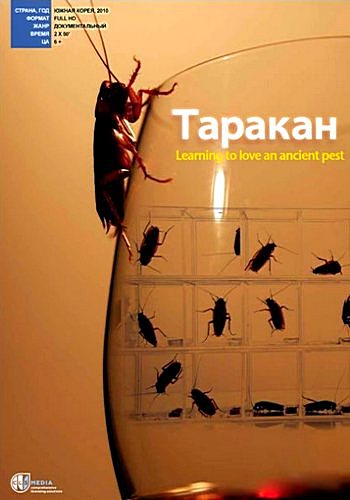 Таракан Метрополис тараканов и Тараканья соната 2010