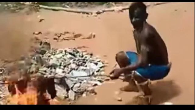 #LadySixFlags, reos canibales, fallece delfin por selfie y gobernador se desmaya смотреть онлайн