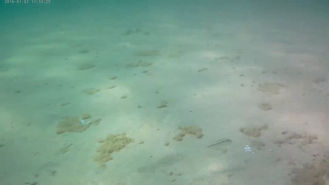 Купаемся в море с камерой смотреть онлайн