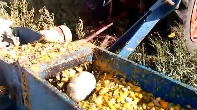 Производство тыквенной семечки смотреть онлайн