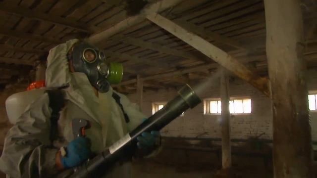 ГБУ Куюргазинская районная ветеринарная станция смотреть онлайн