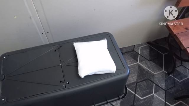 Забой двух породного гибрида КБ - пьетрен макстер. Осеменение свиноматки . смотреть онлайн