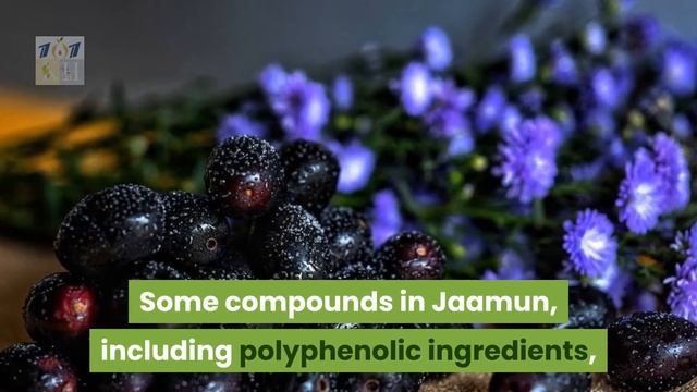 Health Benefits of Jamun. 7 Amazing Benefits of Eating Java Plum | Keto Health 101 смотреть онлайн