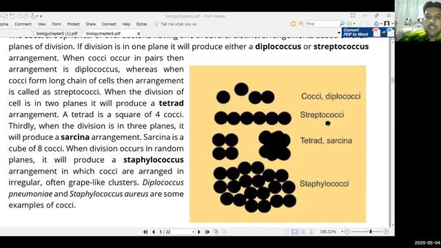 Bot XI Lec 10 Chap 6 Occurrence and Diversity, Classification of Bacteria By Prof Wajahat Ali Jafre смотреть онлайн