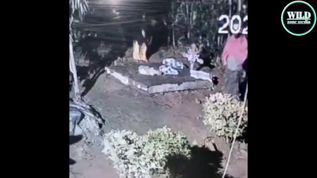 Jini hili lilinaswa na cctv camera likimuiba mtoto usiku wa manane, | Inatisha, umeonywa! смотреть онлайн