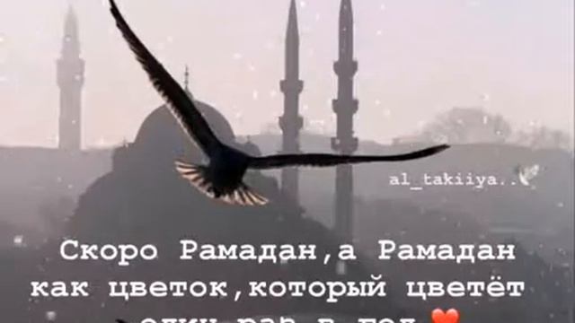 Кто держит пост каждый год отзовитесь смотреть онлайн