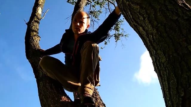 Зачем сохранять черную ольху? Экологические экскурсии в СПб. смотреть онлайн