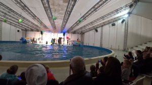 Анапский дельфинарий в Новый год. #Анапа #Гостагаевская