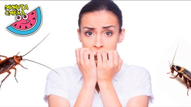ИНТЕЛЛИГЕНТНЫЙ РАЗГОВОР ПОДРУГИ С МОИМИ ДОМАШНИМИ ЖИВОТНЫМИ! смотреть онлайн