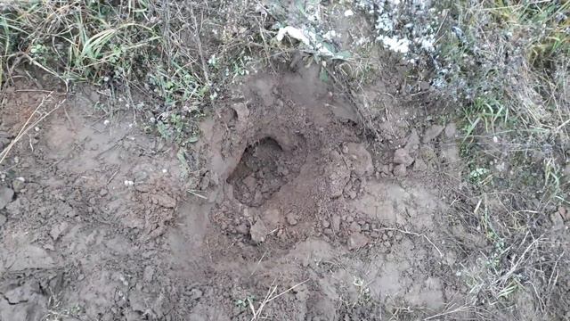 Коп металлолома! ЗАЧЁТНЫЙ ВЫЕЗД!!!! 380 кг РЕЛЬСЫ,ТРАКИ НА ТАНКОДРОМЕ! смотреть онлайн