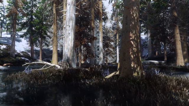 14 Mods To Create Next-Gen Skyrim Graphics - Outsider Mods Ep 10 смотреть онлайн