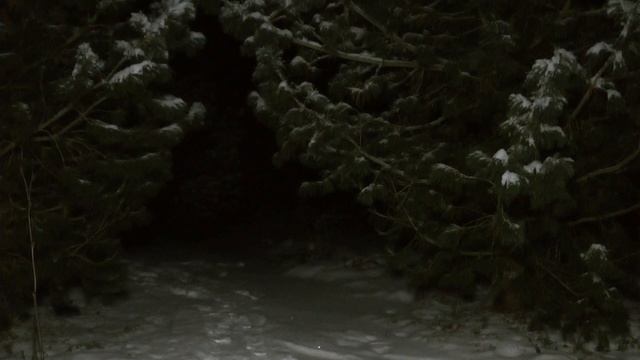 Фонарь Яркий Луч LH-160A Stalker ночной тест 1 смотреть онлайн