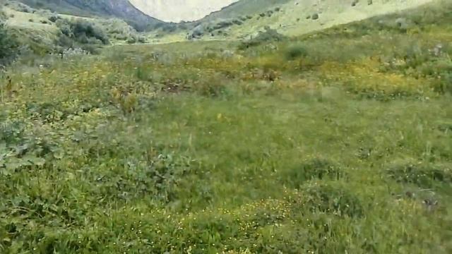 #7 Сочи. Красная Поляна. Кавказский заповедник. Высота: 2100 м. смотреть онлайн