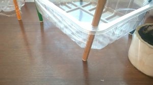 КОНТЕЙНЕР ДЛЯ РАССАДЫ МИНИ ПАРНИК НА ПОДОКОННИКЕ