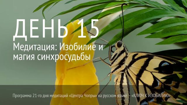 День 15 Медитация Изобилие и магия синхросудьбы смотреть онлайн