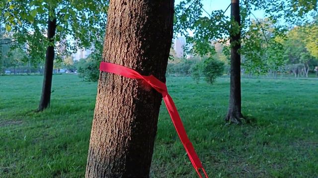 Туристический гамак: идеальный выбор и правильная установка смотреть онлайн