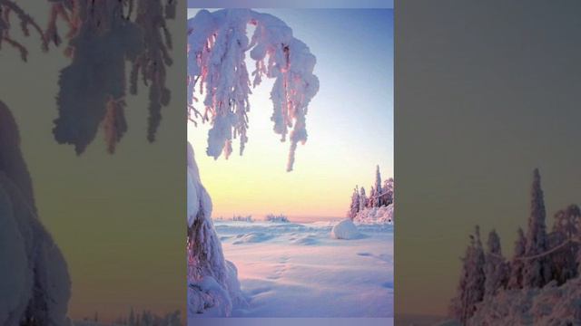 Роздуми над Словом Божим 06.01.2021 Євангліє від Луки 2:1-20; від Матея 1-12; 13-23 смотреть онлайн