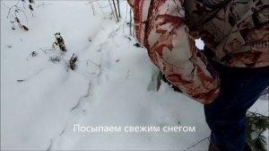 Охота на лису с капканом