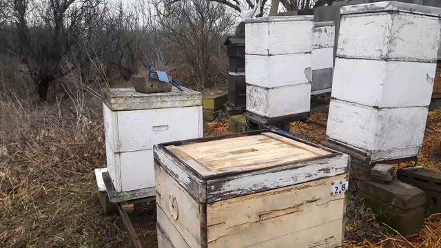 До начала весеннего облета переставляем ульи | 685. 00 смотреть онлайн