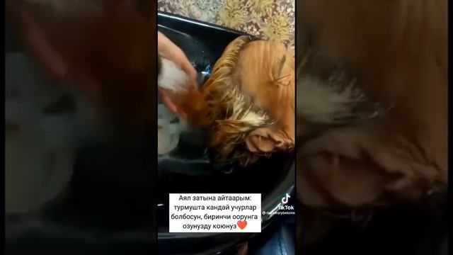 ТВК КОМУ 6 НОМЕР смотреть онлайн