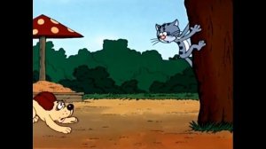 Кот-оборотень с улицы Лизюкова :)