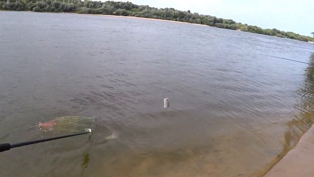 Абжор🦈Голавля. Итог🎣рыбалки. смотреть онлайн