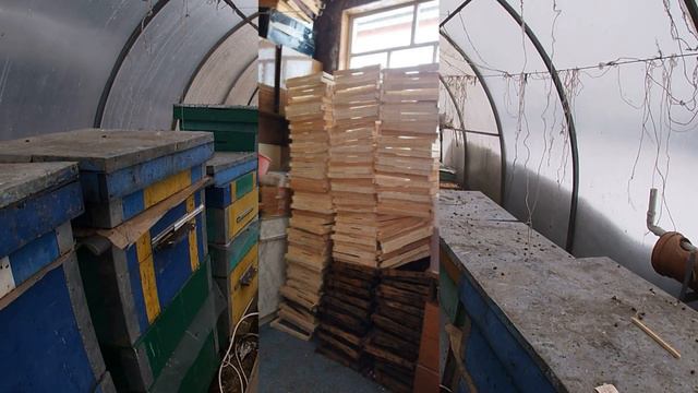 Облёт пчёл зимой. смотреть онлайн