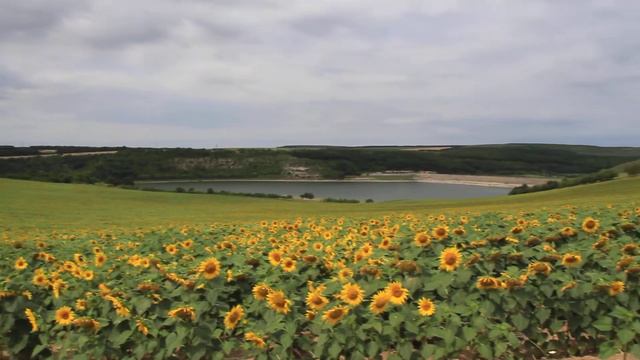 Озеро около села смотреть онлайн